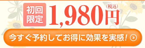 初回限定1,980円